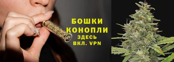 PSILOCYBIN Сосновка